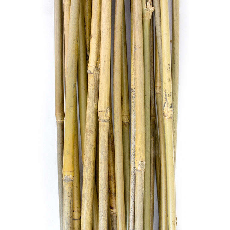 PLANT!T Bamboo Stakes (120cm) Pack of 25
