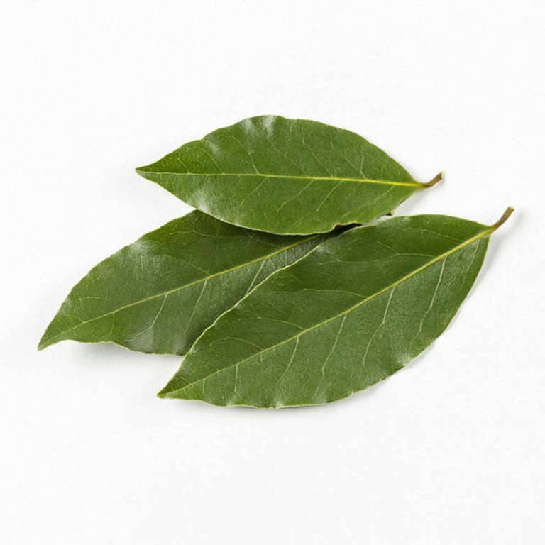 Bayleaf Tree