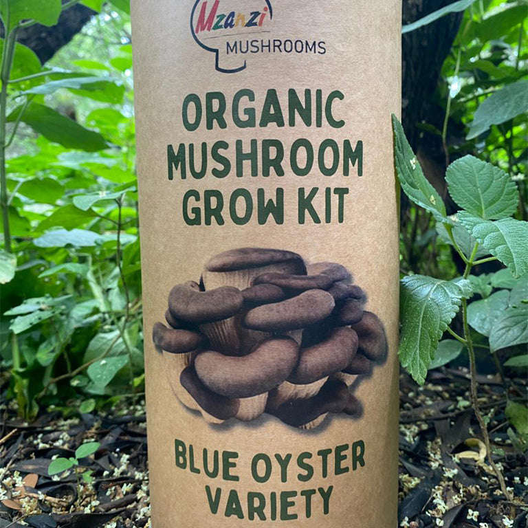 Organic Blue Oyster Mushroom Grow Kit