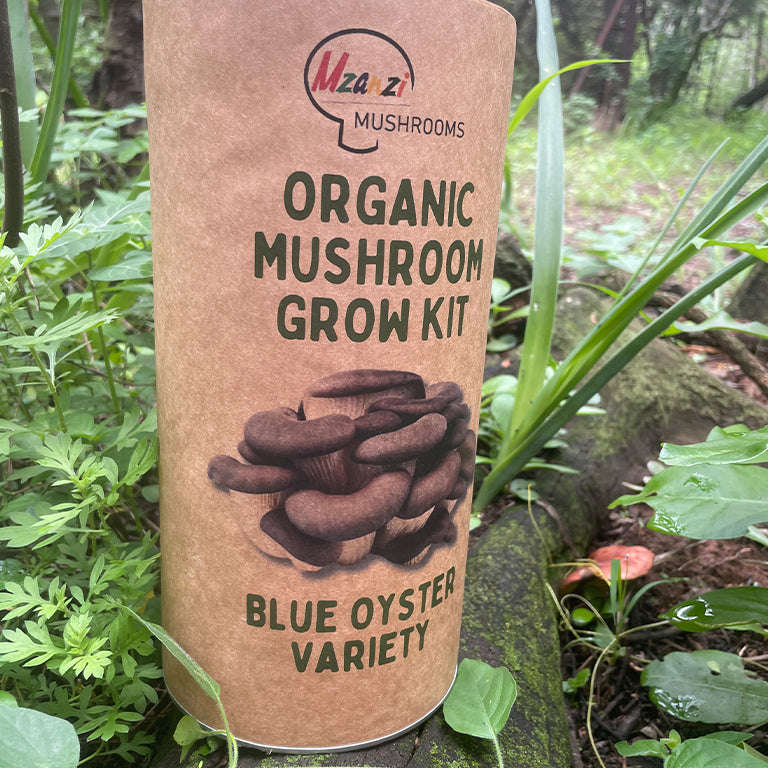 Organic Blue Oyster Mushroom Grow Kit