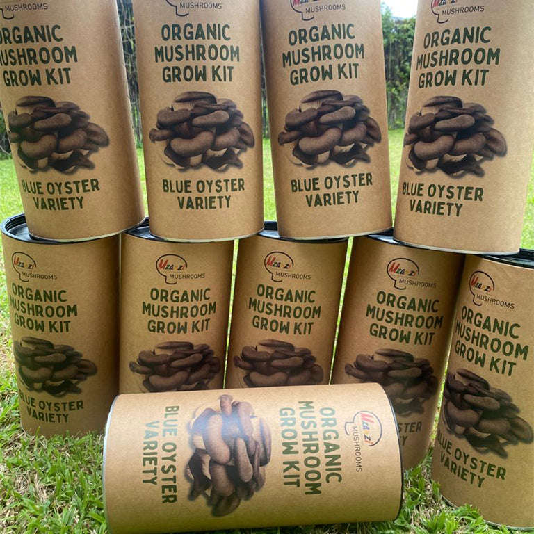 Organic Blue Oyster Mushroom Grow Kit