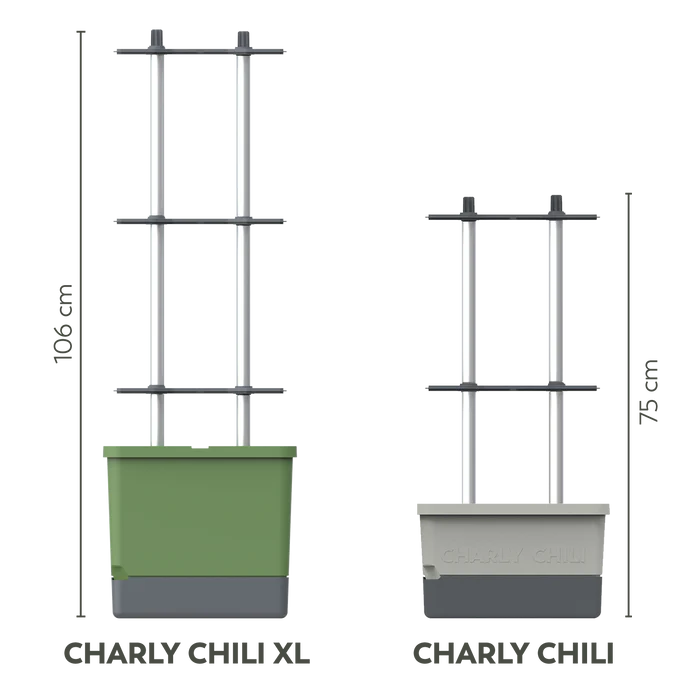 CHARLY CHILI (Self Watering Pot) + Cayenne Pepper Seed Pack