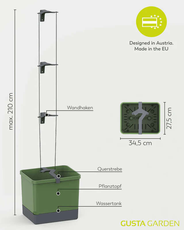 CURT CUCUMBER (Self Watering Pot) + Ashley Cucumber Seed Pack