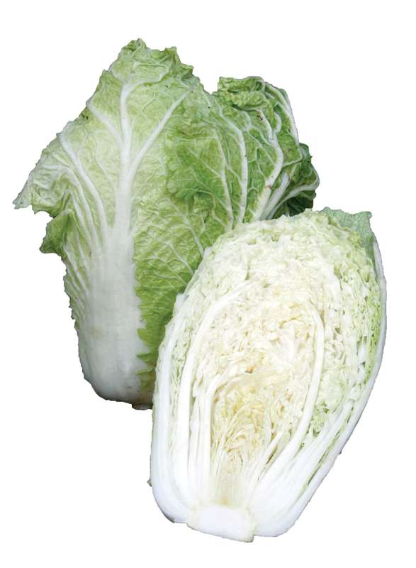 Cabbage Chinese Michilli Seeds