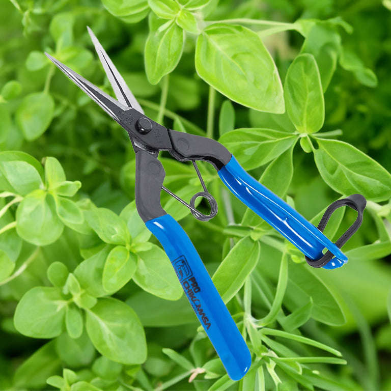 Chikamasa T-552 7" Trimming Scissors
