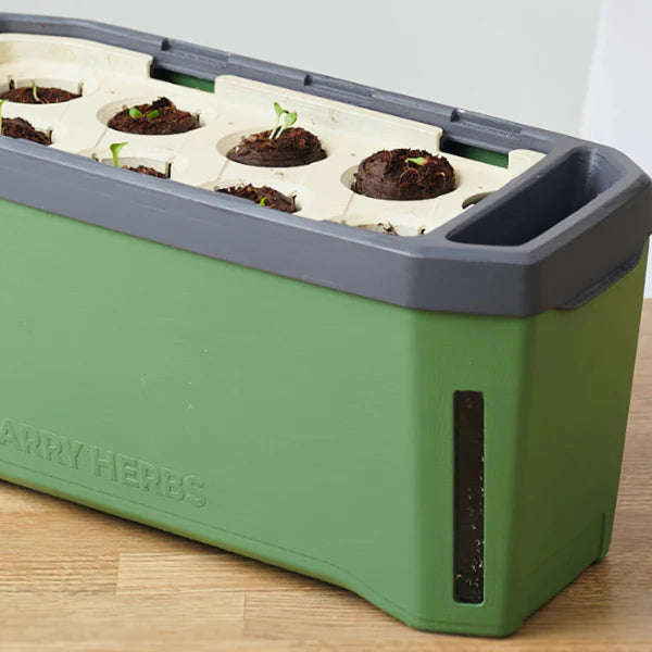 HARRY HERBS (Self Watering Pot) + FREE Assorted Herb Seeds