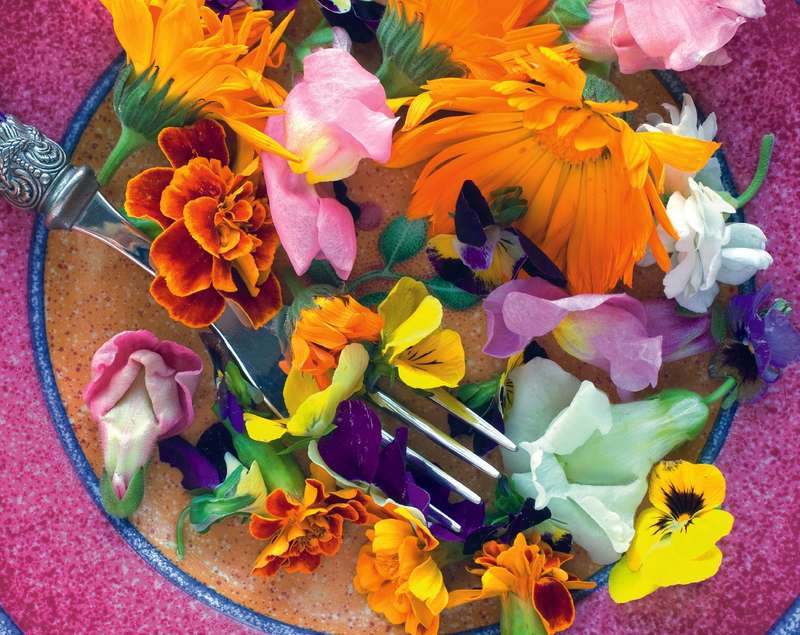 Edible Flowers And Herbs Seeds