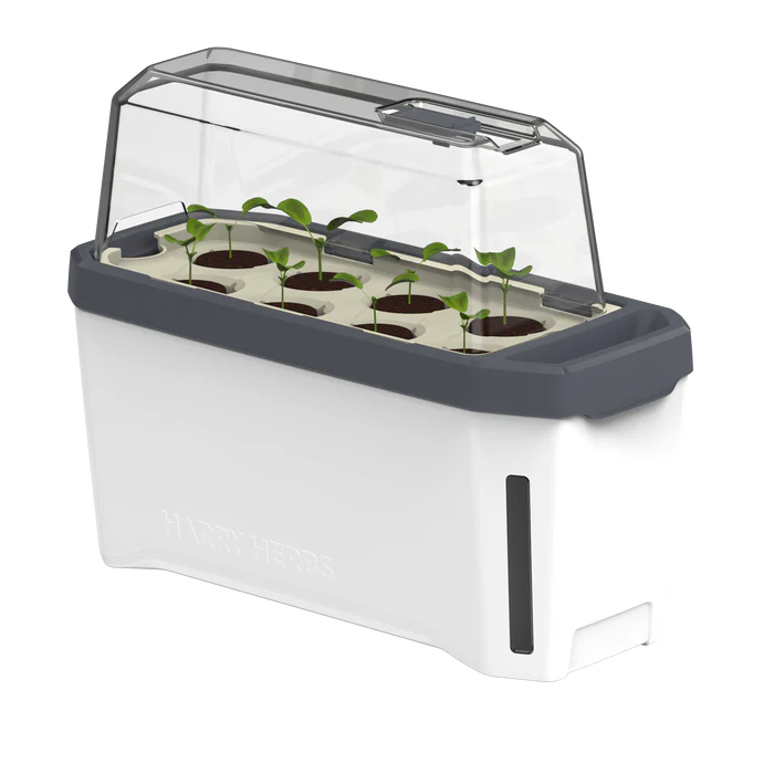 HARRY HERBS (Self Watering Pot) + FREE Assorted Herb Seeds