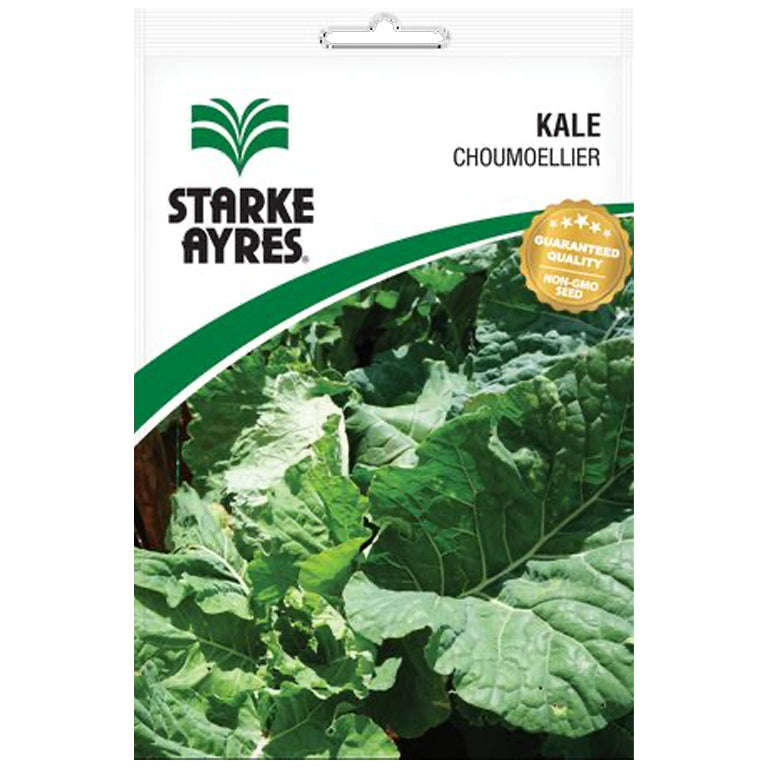Kale Choumoellier Seeds