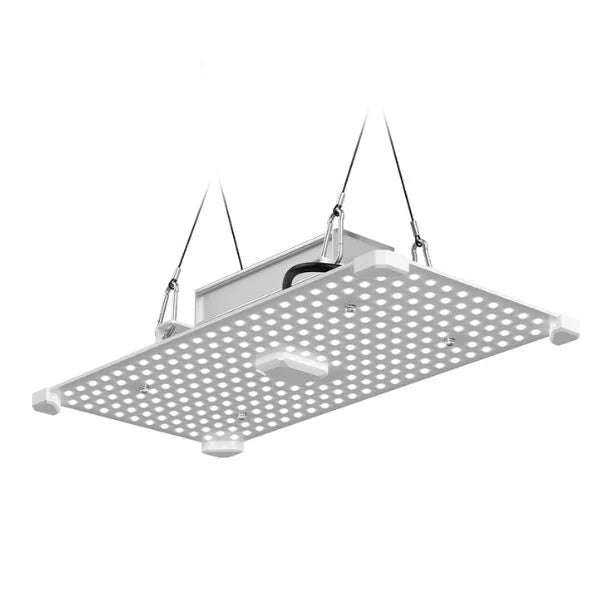 Lumii Blade Quantum Board 100W LED Grow Light