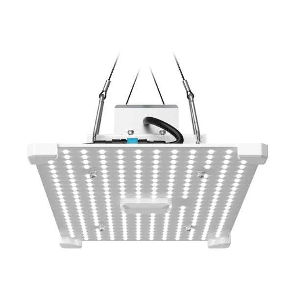 Lumii Blade Quantum Board 100W LED Grow Light
