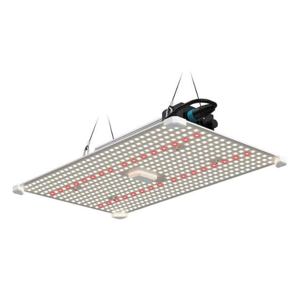 Lumii Blade Quantum Board 200W LED Grow Light