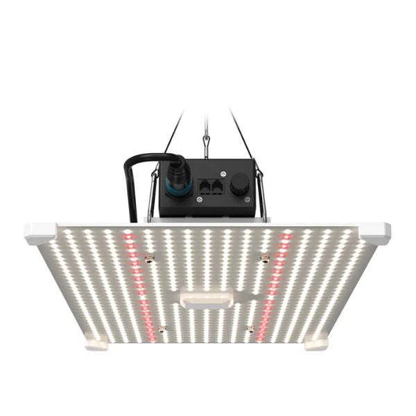 Lumii Blade Quantum Board 200W LED Grow Light