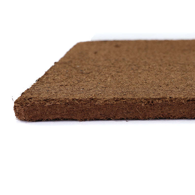 Microgreen Grow Plates (Set of 2)