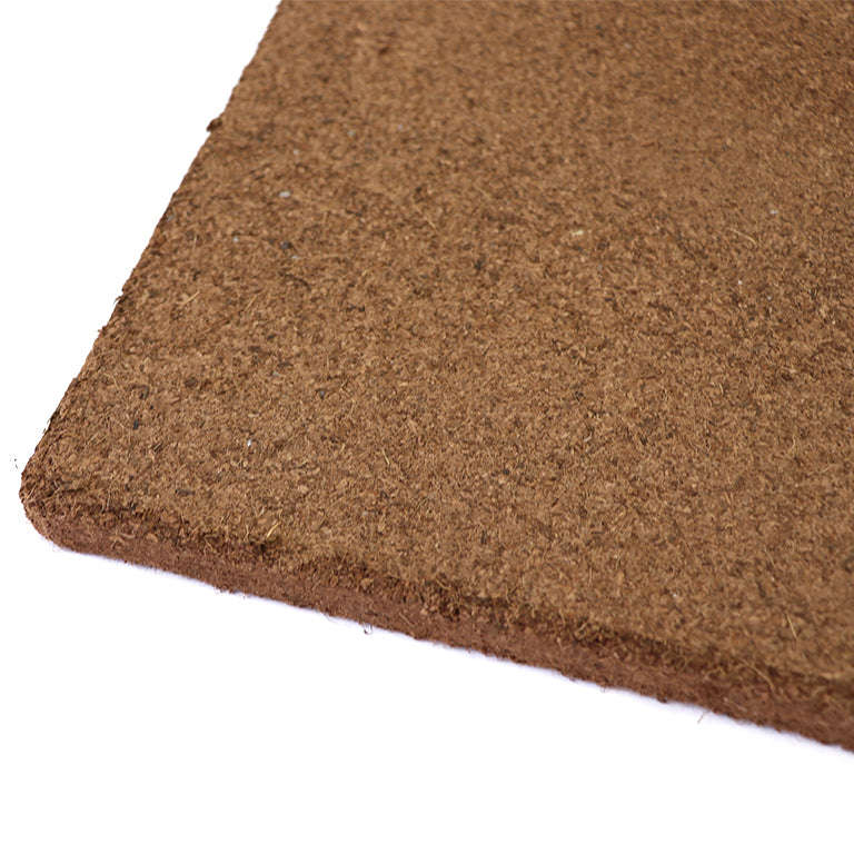 Microgreen Grow Plates (Set of 2)