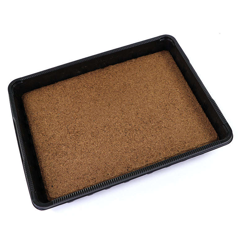 Microgreen Grow Tray Set (Incl 2 Grow Plates)