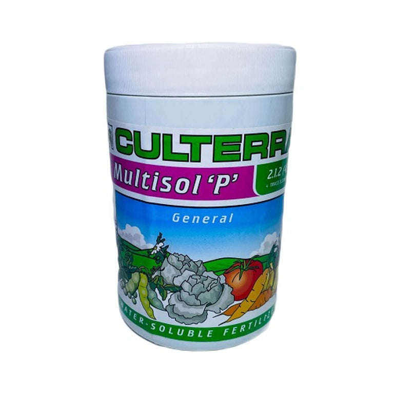 Multisol P General