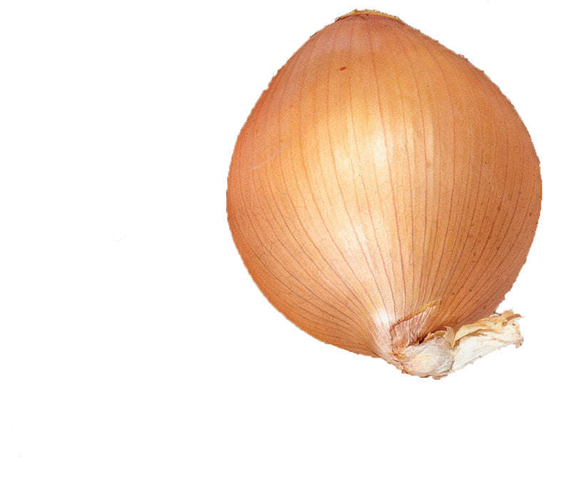 Onion Australian Brown Seeds