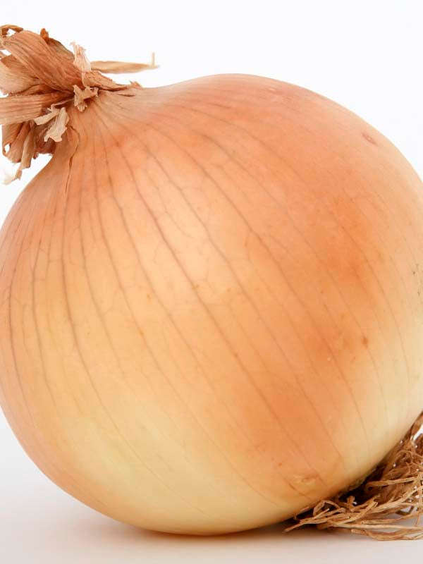 Onion Hojem Seeds