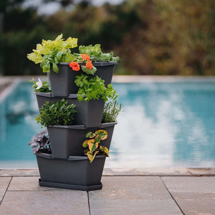 PAUL POTATO (Stackable 4 Level Grow Pot) + Incl Seed Potatoes