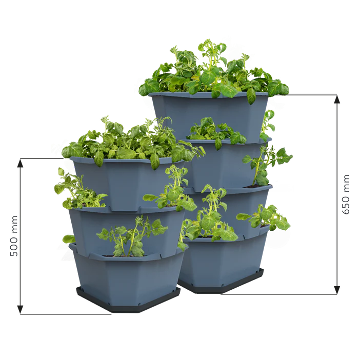 PAUL POTATO (Stackable 4 Level Grow Pot) + Incl Seed Potatoes