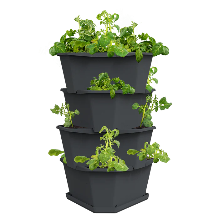 PAUL POTATO (Stackable 4 Level Grow Pot) + Incl Seed Potatoes