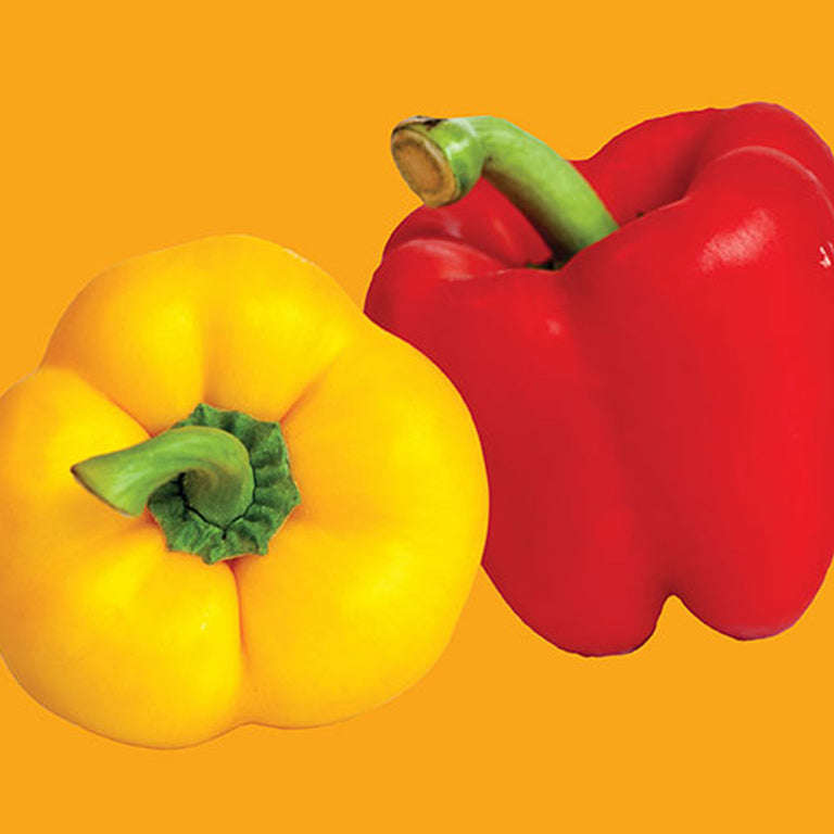 Pepper Sweet Mini Belle Blend Seeds