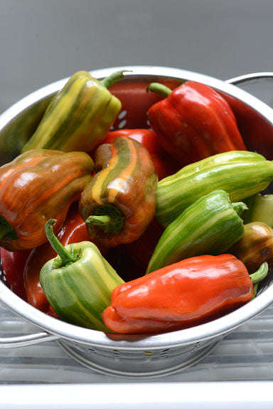 Capsicum Candy Cane Red - Sweet Pepper Seeds