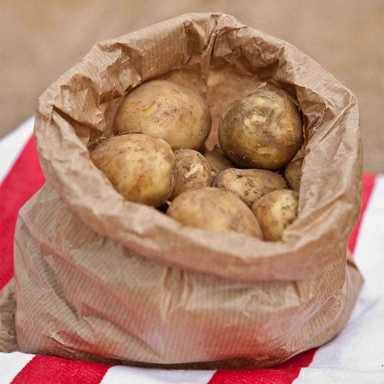 Tyson Seed Potatoes, 50 per bag