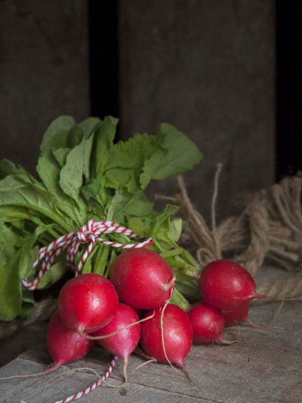 Radish Cherry Belle Seeds