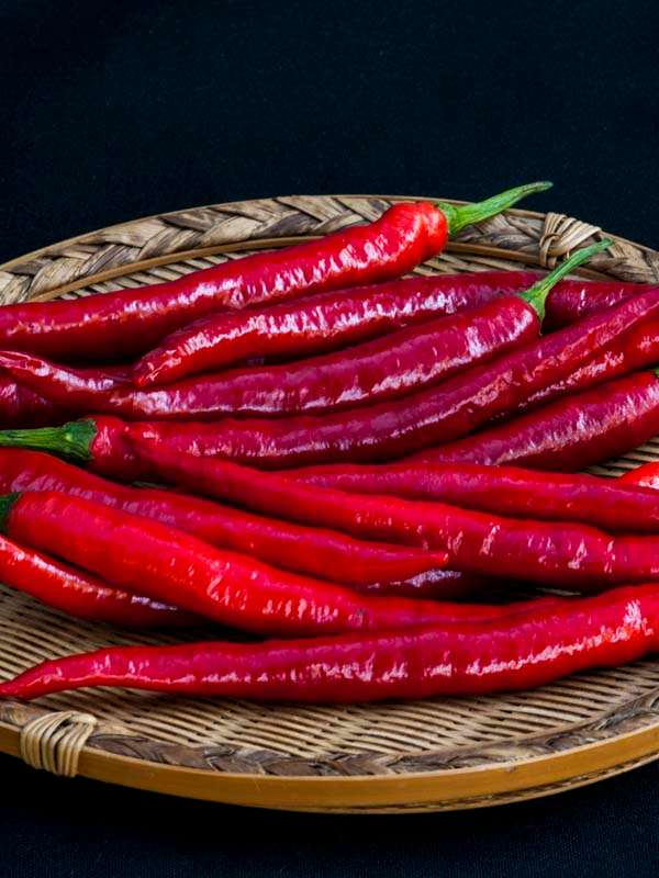 Capsicum Rajah - Chili Seeds