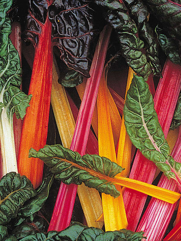 Spinach Swiss Chard Mix Seeds