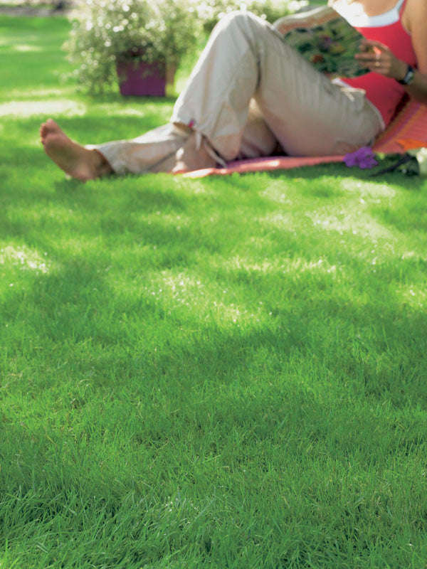 Shade Master Grass Seeds