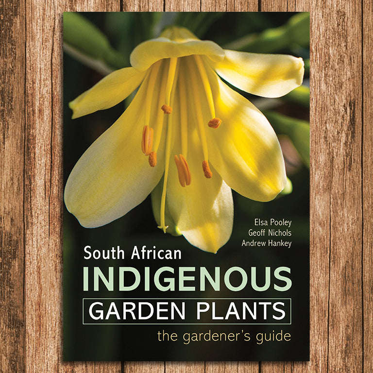 South African Indigenous Garden Plants: The Gardeners Guide