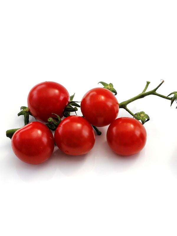 Tomato Principe Borghese Seeds