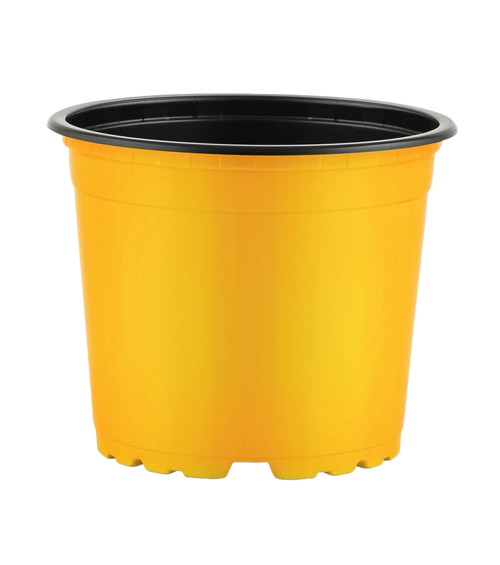 Thermoform Pots 17cm