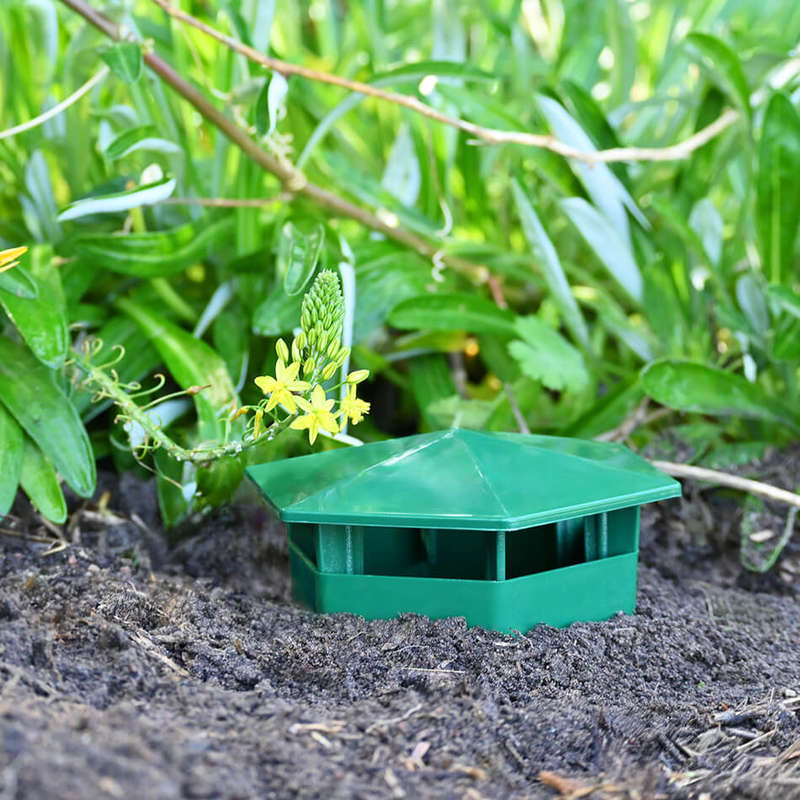 Snail & Slug Trap (10cm x 10cm)