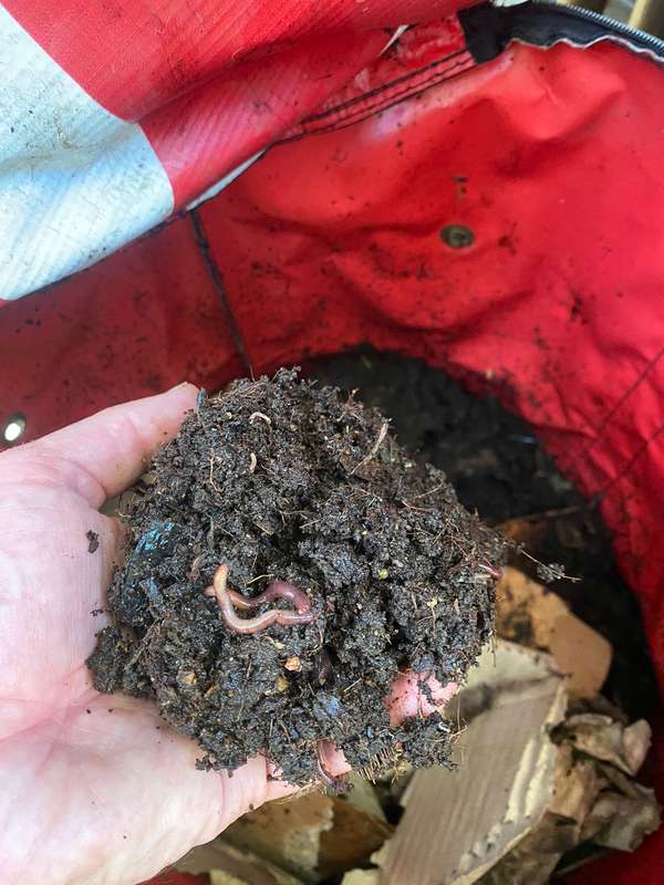 Worm Farm Compost Bag (25L) + Worms Starter Kit & Coir