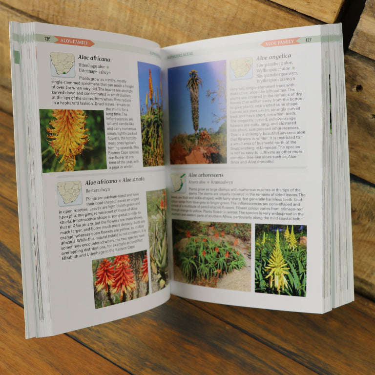Field Guide to Succulents in Southern Africa