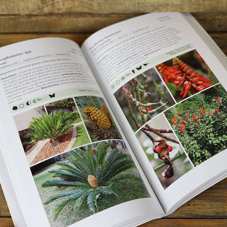 Gardener's Guide to Indigenous Garden Plants of Southern Africa