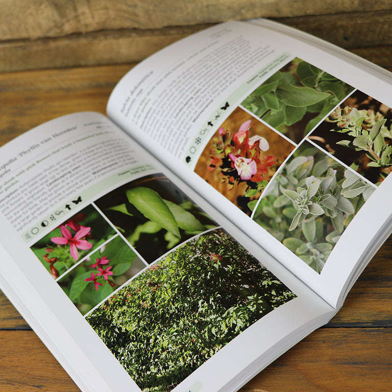 Gardener's Guide to Indigenous Garden Plants of Southern Africa
