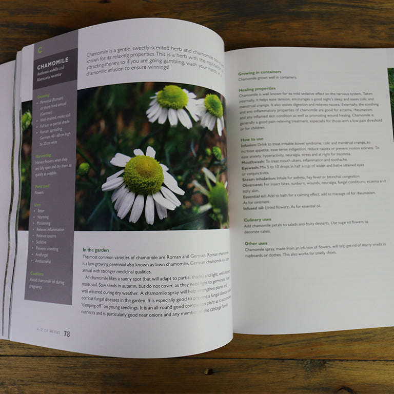 Janes Delicious A-Z of Herbs