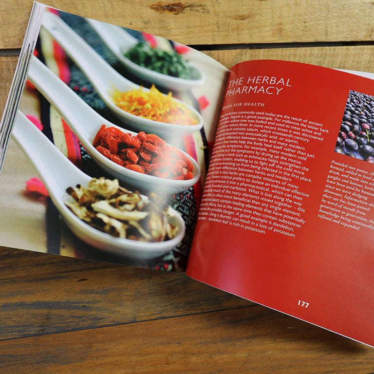 Janes Delicious A-Z of Herbs