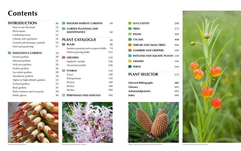South African Indigenous Garden Plants: The Gardeners Guide