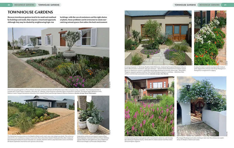 South African Indigenous Garden Plants: The Gardeners Guide