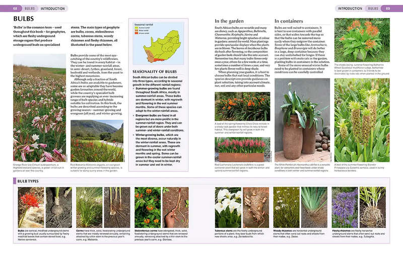 South African Indigenous Garden Plants: The Gardeners Guide