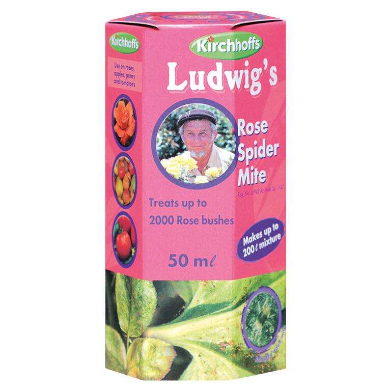 Ludwig's Rose Spider Mite