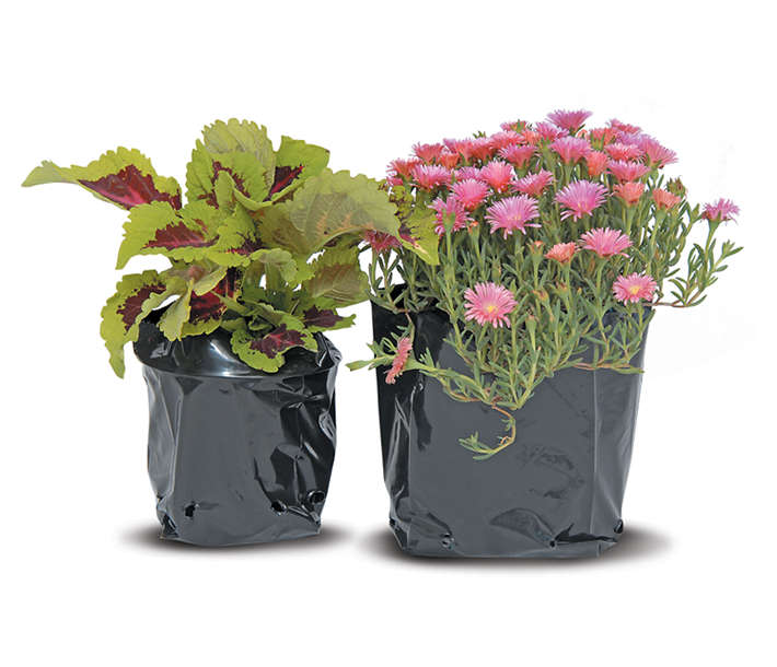 Nursery Plant Bags