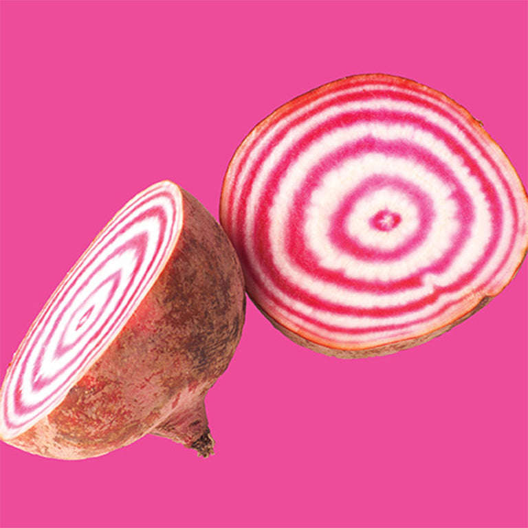 Beet Chiogga Seeds