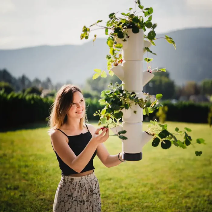 SISSI STRAWBERRY (Stackable 4 Level Strawberry & Herb Grow Pot) + Fresca Strawberry Starter Seeds